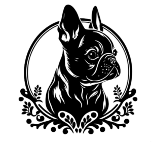 BOULEDOGUE FRANCAIS