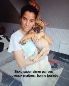 Sysko super aimé par ses nouveau maître, bonne journée
