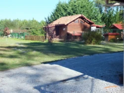 Elevage de bouledogue français