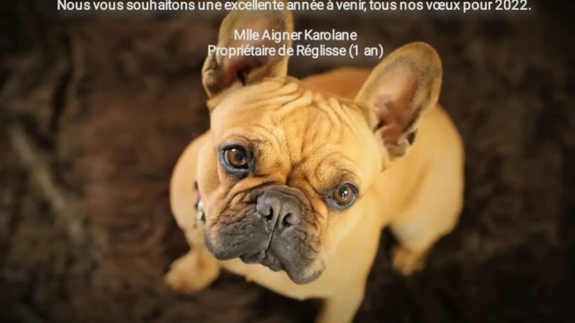 Réglisse Mme aIGNER Karolane Réglisse Mme aIGNER Karolane