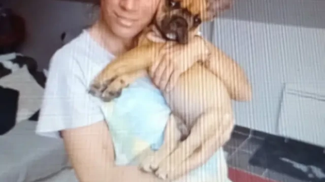 Sysko super aimé par ses nouveau maître, bonne journée Sysko super aimé par ses nouveau maître, bonne journée